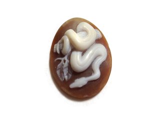 Boa constrictor cameo